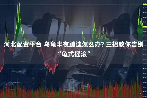 河北配资平台 乌龟半夜蹦迪怎么办? 三招教你告别“龟式摇滚”